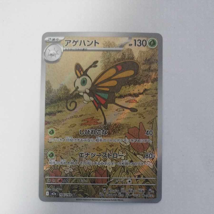 @2 @2 Beautifly AR 194/193 1枚