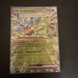 Ogapon Midori-no-men ex RR 016/101