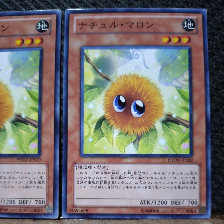 【ぽぽたん】遊戯王  6404  ナチュル・マロン   ノーマル    ２枚 2枚