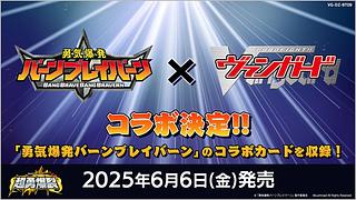 ヴァンガード 4コン」の激安通販 | magi