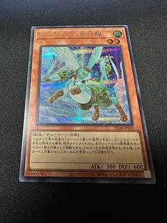 ホップ・イヤー飛行隊