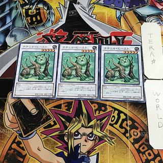 Muddy Mudragon EP19 1 Normal, set of 3 Tera.