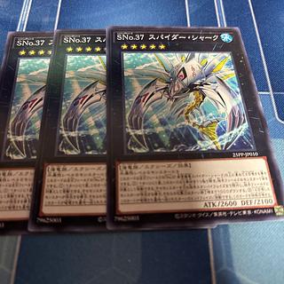 SNo.37 スパイダー・シャーク　ノーマル