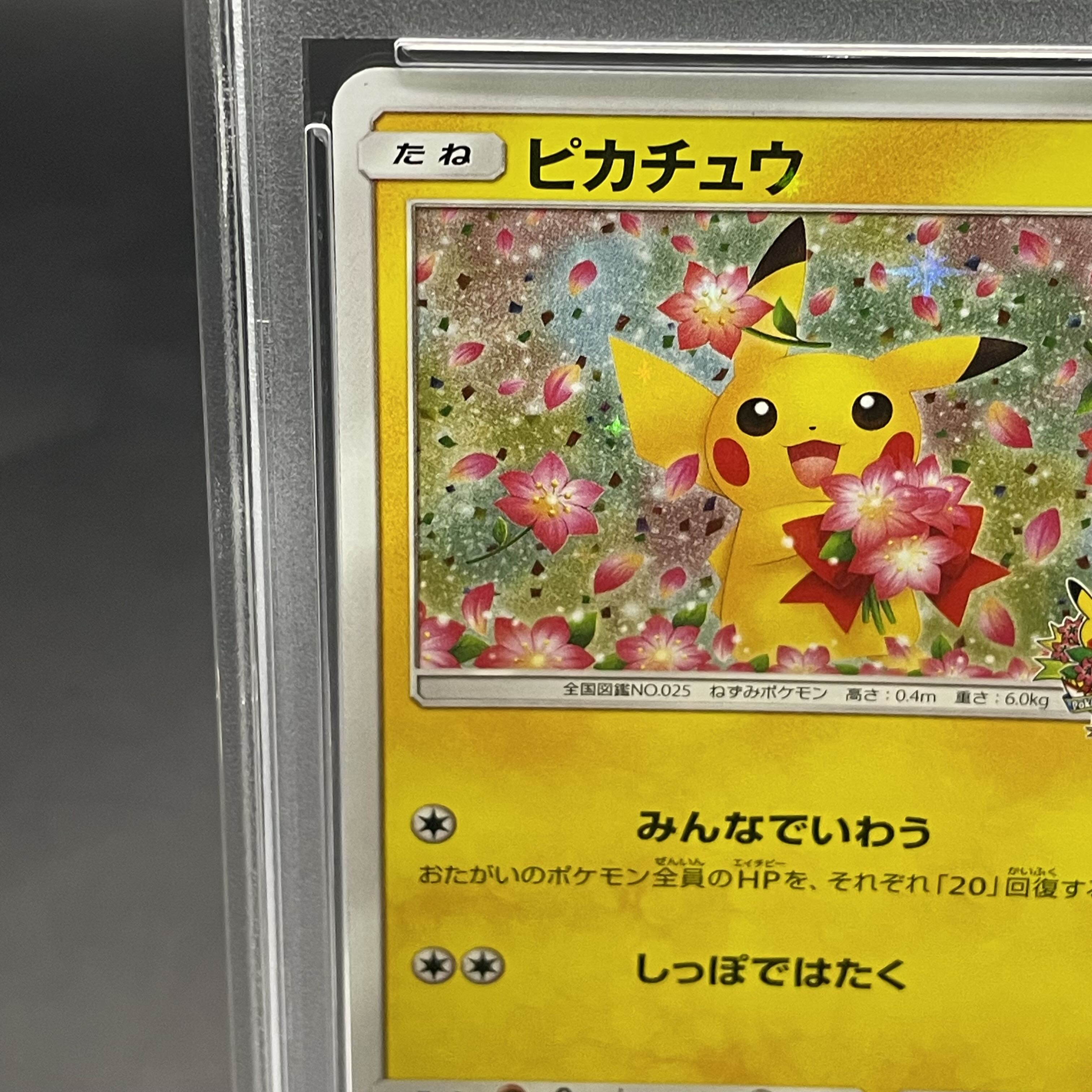 【PSA10】ピカチュウ PROMO 224/SM-P