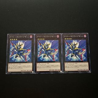 3447 Night Papilloperative#2743