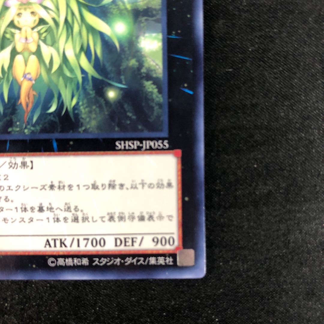 Meliae of the Trees Rare JP055