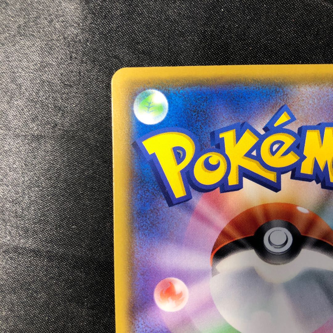 ココガラ S 300/190 1枚