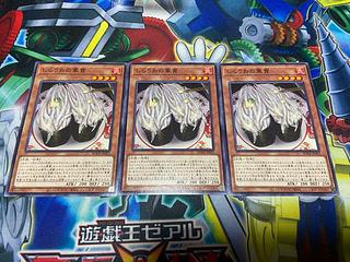 Y-1237 Gunkan Suship Shirauo Normal JP023