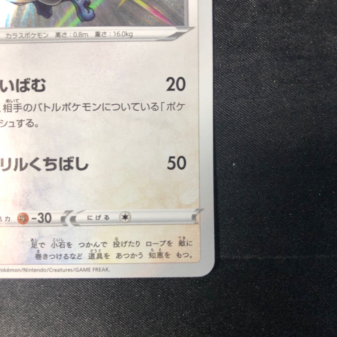 アオガラス S 301/190 1枚