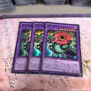 Predaplant Chimerafflesia Super Rare JP009 3枚