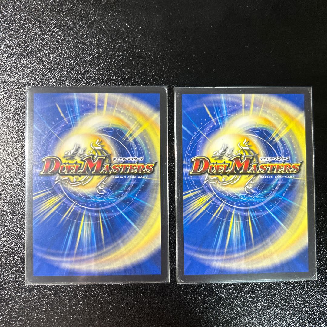 two sheets (pieces) (of paper) Georges Bataille SR S5/S10 1枚