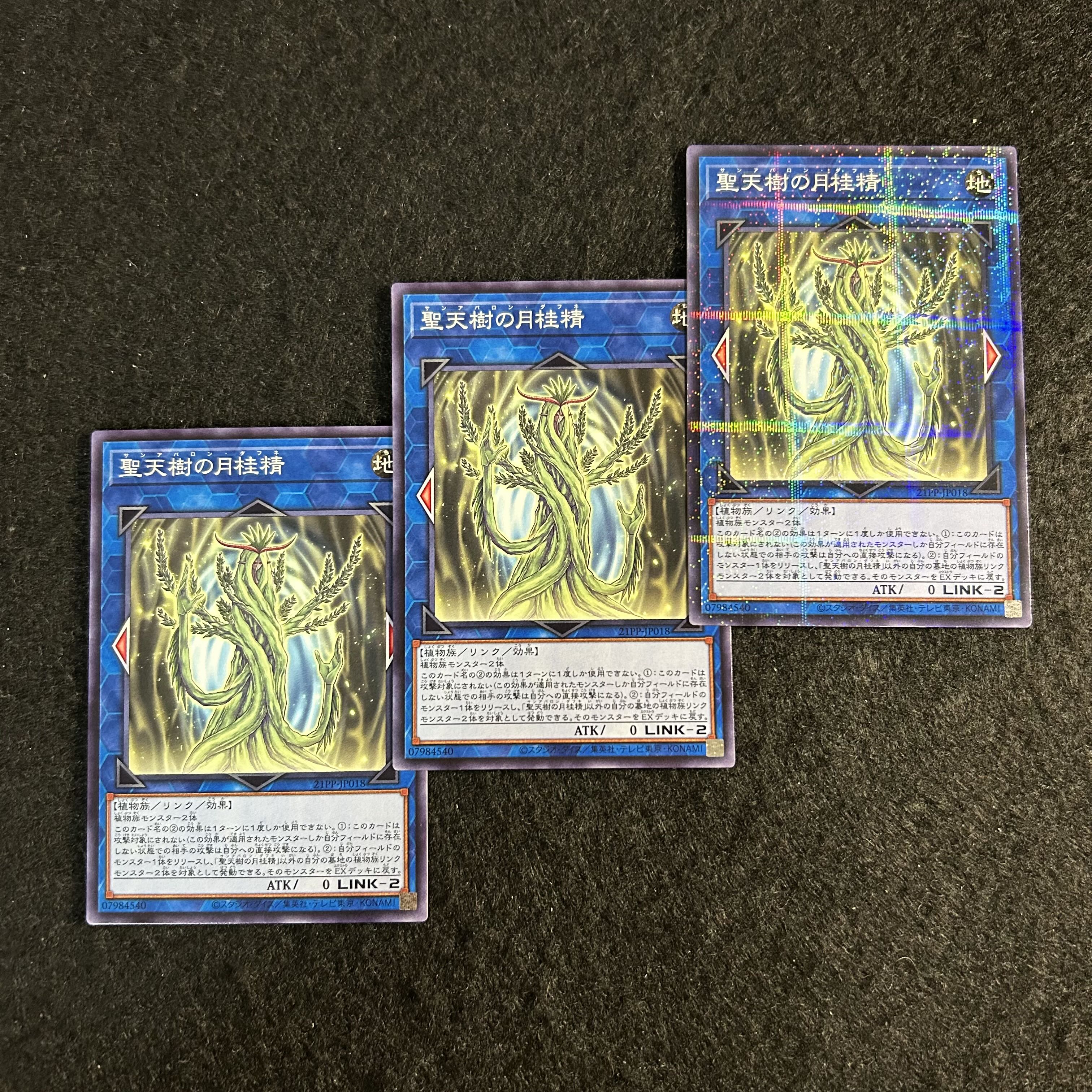 a2497【遊戯王】聖天樹の月桂精　3枚セット 3枚