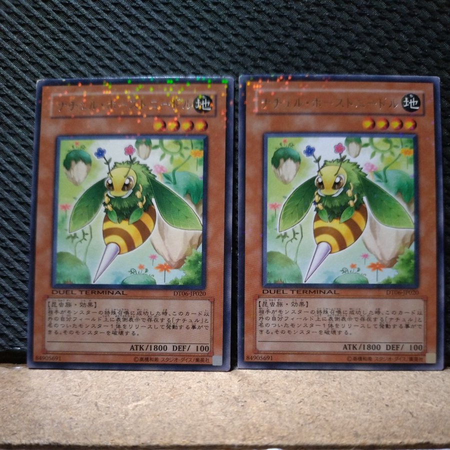【ぽぽたん】遊戯王  7555  ナチュル・ホーストニードル  字レア   2枚 2枚