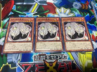 Y-1003 Gunkan Suship Shirauo Normal JP023