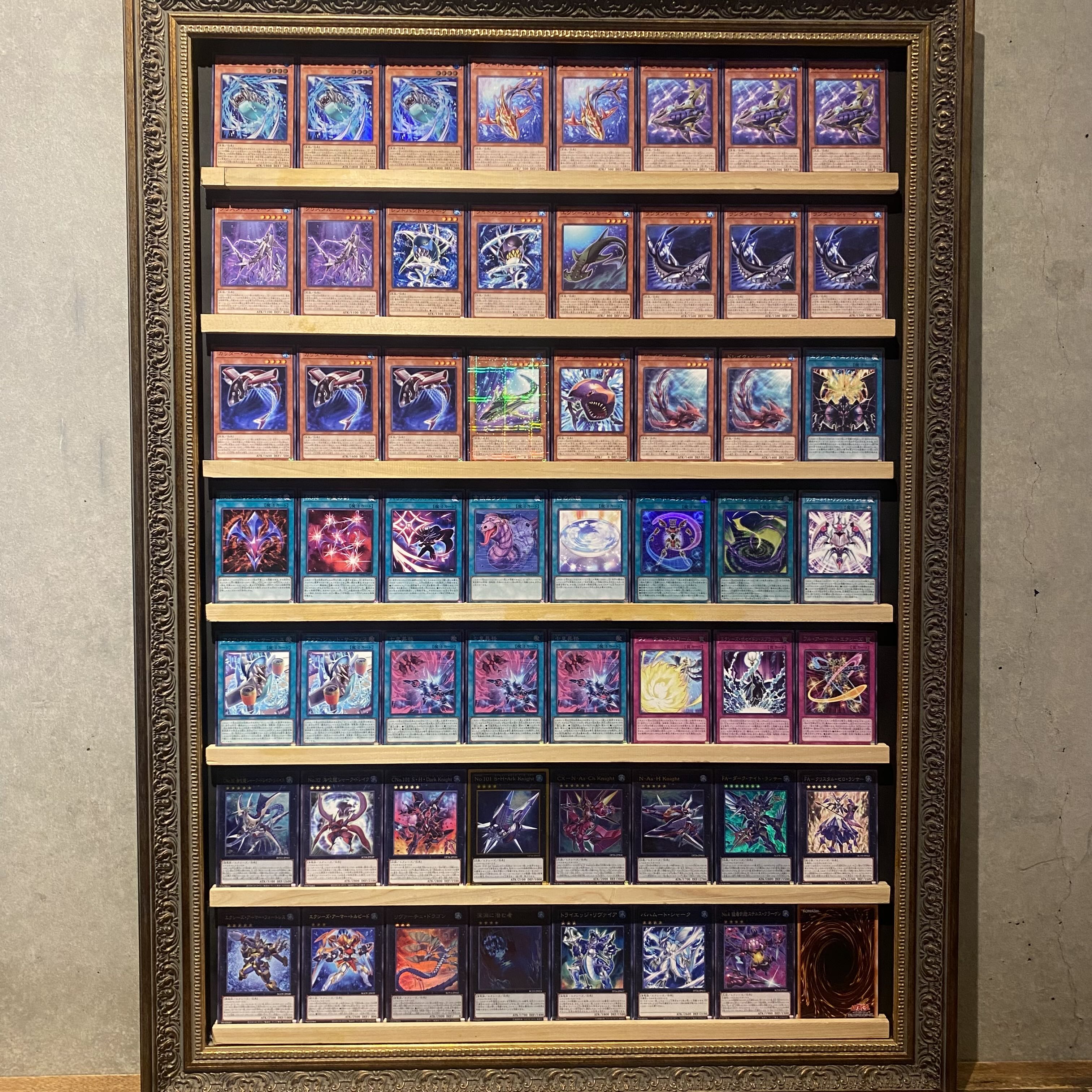 Ships immediately! [Shark] Deck - Yu-Gi-Oh! Big Jaws to Surface