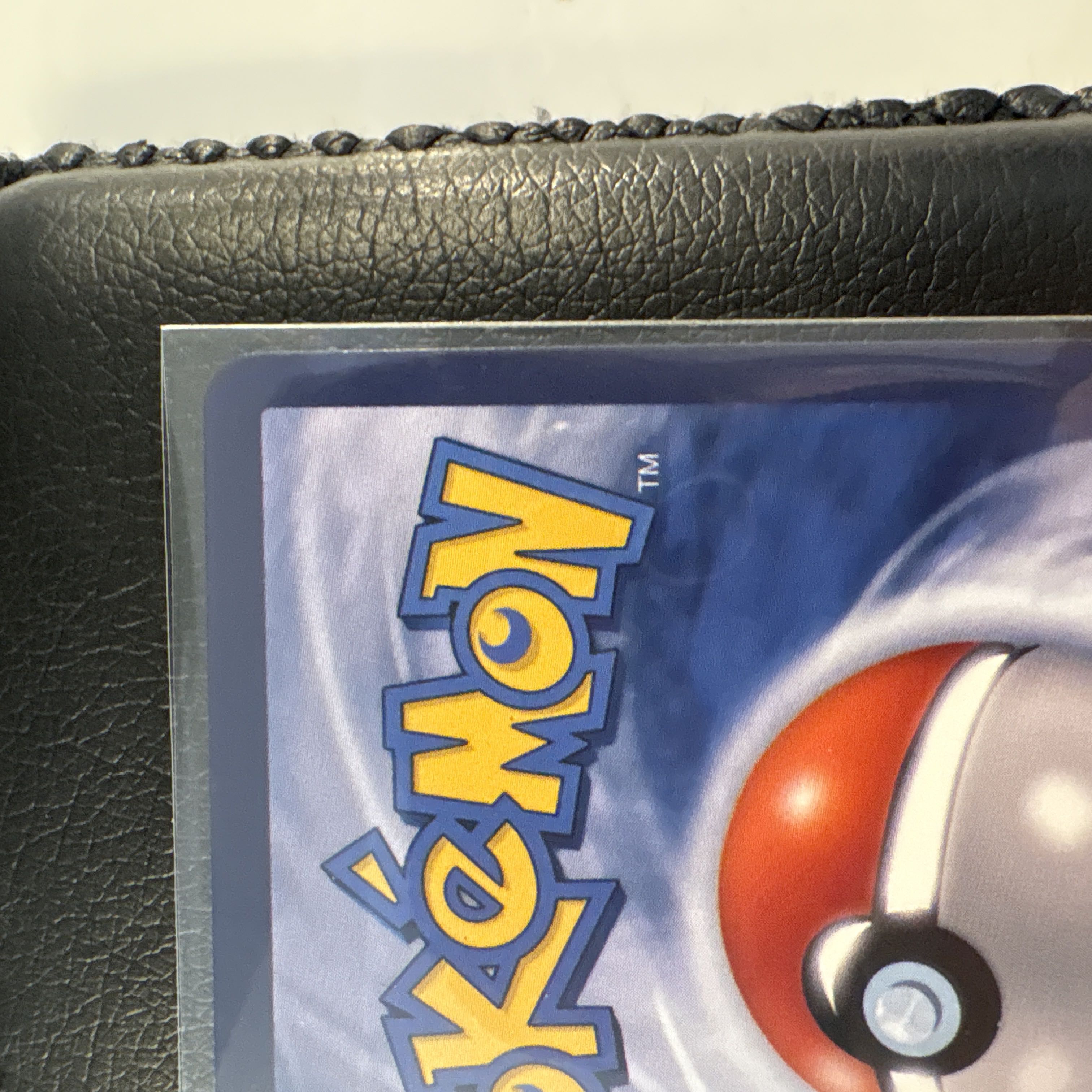 Van Gogh Pikachu 2 cases 2枚