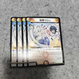 Sukune Marron R 14/17