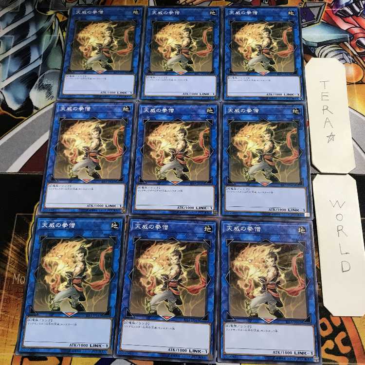 Monk of the Tenyi RIRA 1 Normal 9-card set Tera