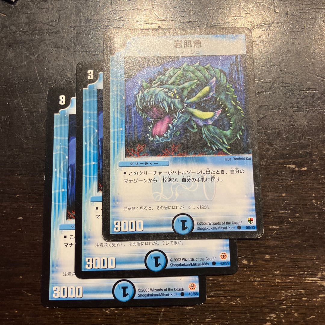 岩肌魚/シースラッグ