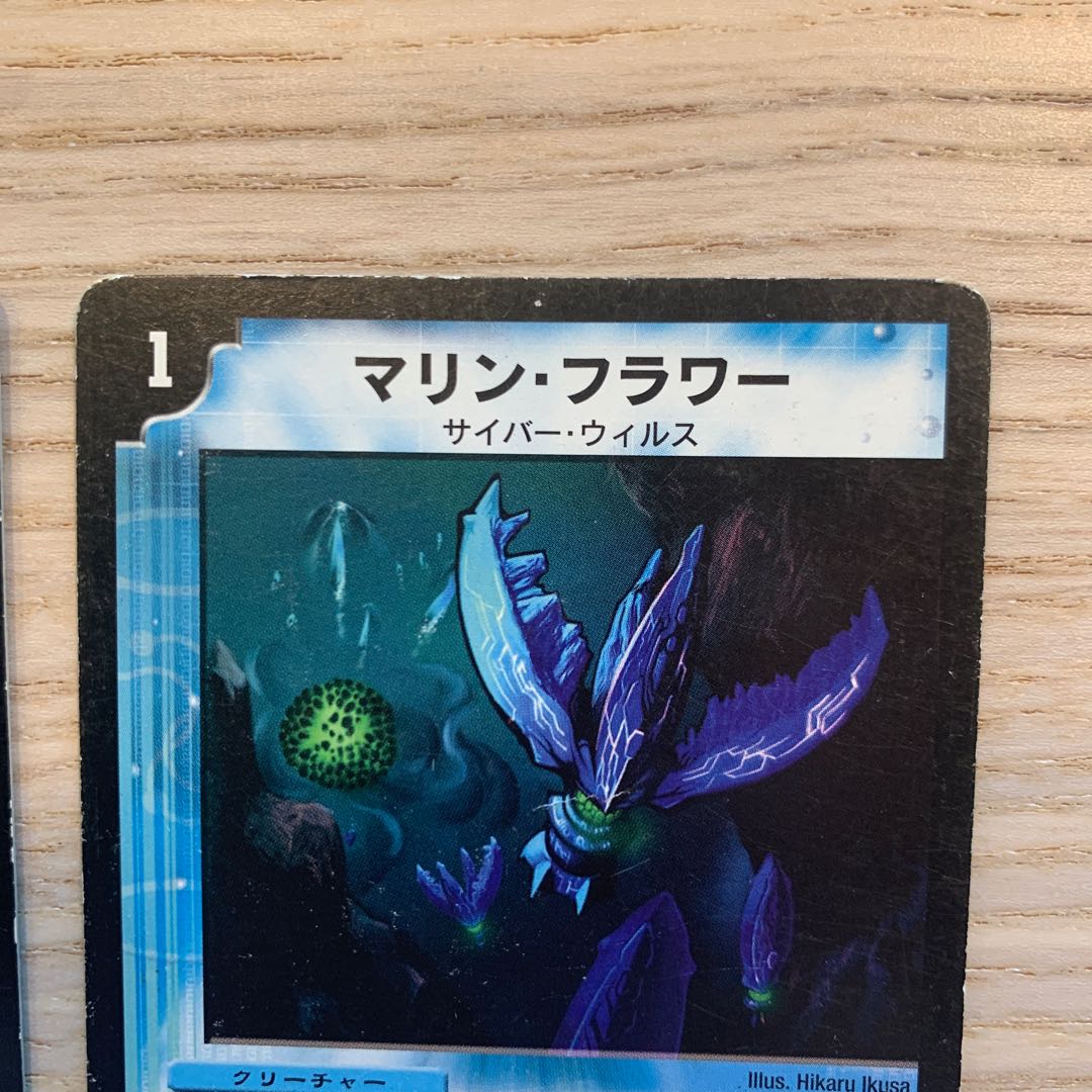 【セット販売のみ可】マリン・フラワー 1枚