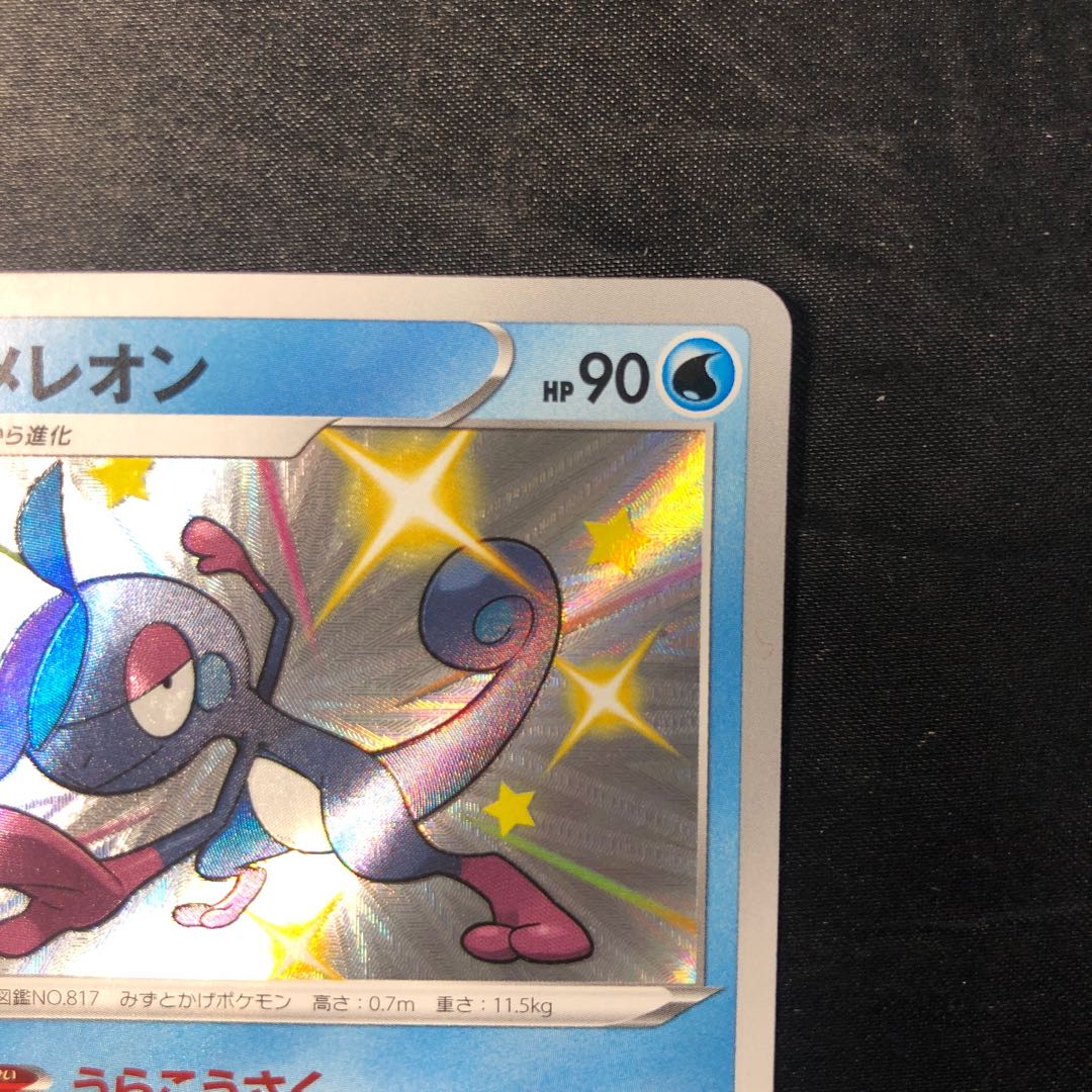 ジメレオン S 225/190 1枚