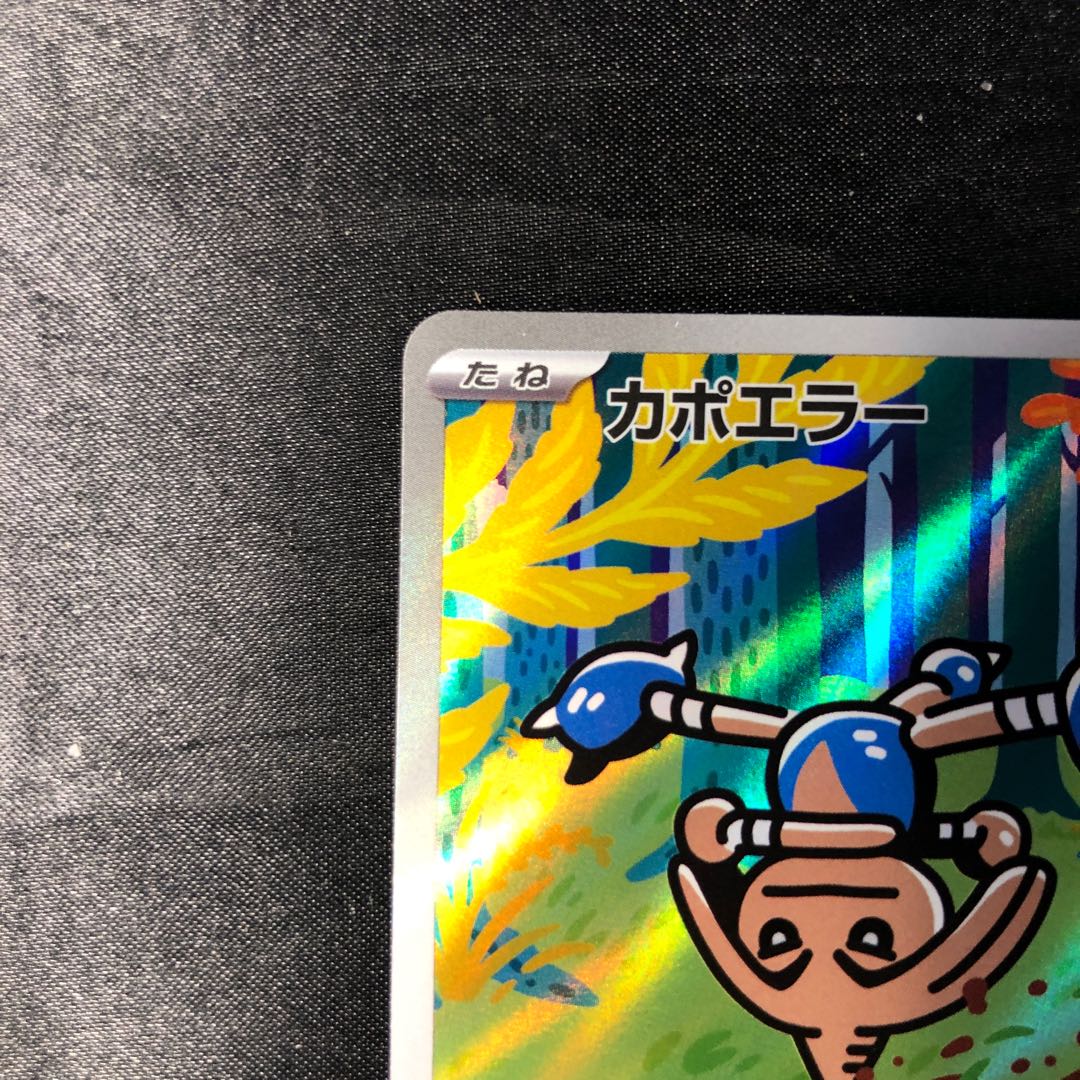 カポエラー(AR仕様) S-TD 751/742 1枚