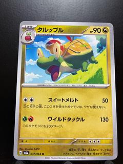 ラ*読様 ジバコイルAR タルップルAR PSA10セット ラ*読様 ジバコイルAR タルップルAR PSA10セット 2025年最新