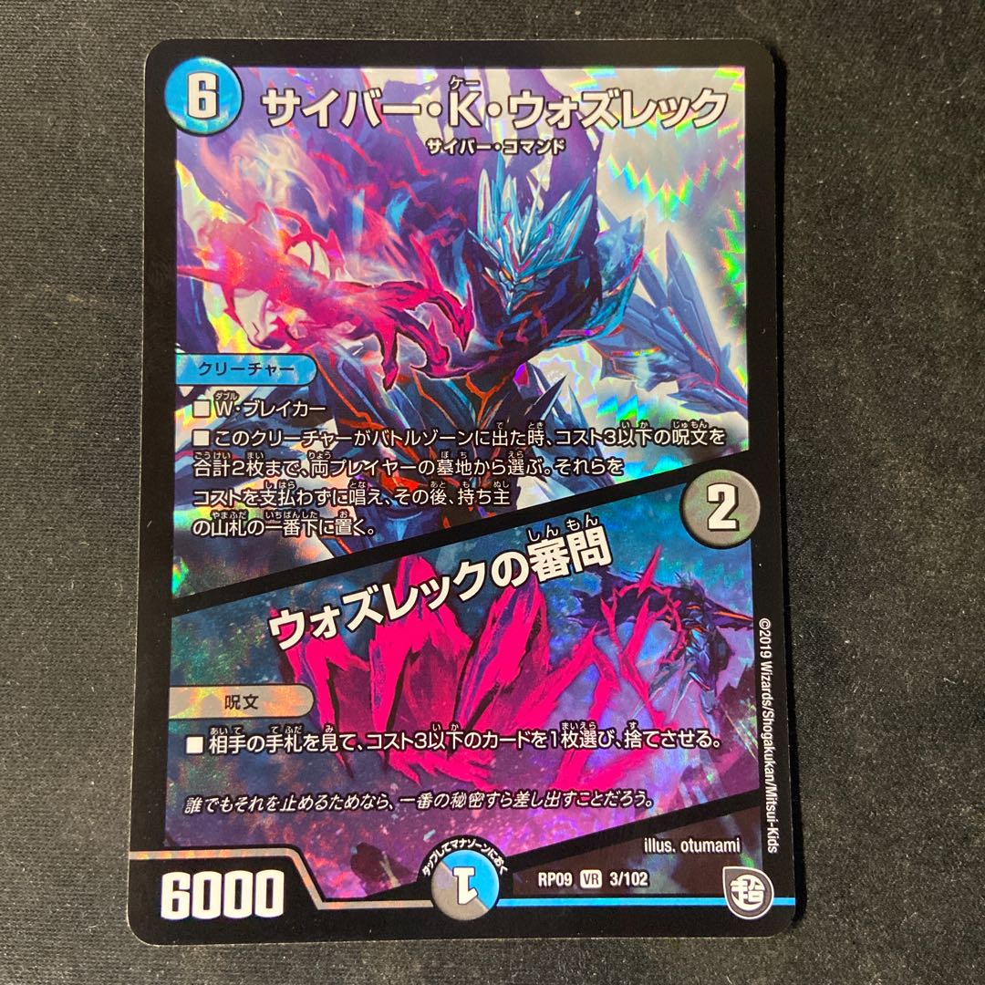 10043 Cyber K. Wozrek｜The Wozrek Inquiry VR 3/102