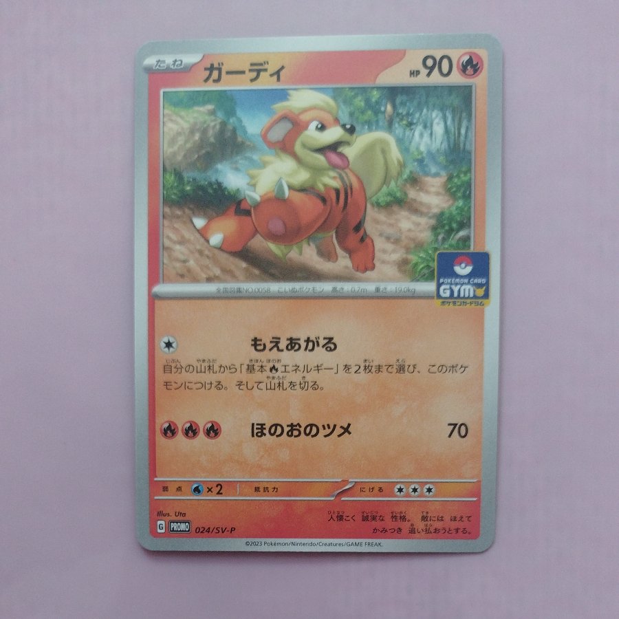 @11 @11 Growlithe Promo Card Pack, Series 1 PROMO 024/SV-P 1枚
