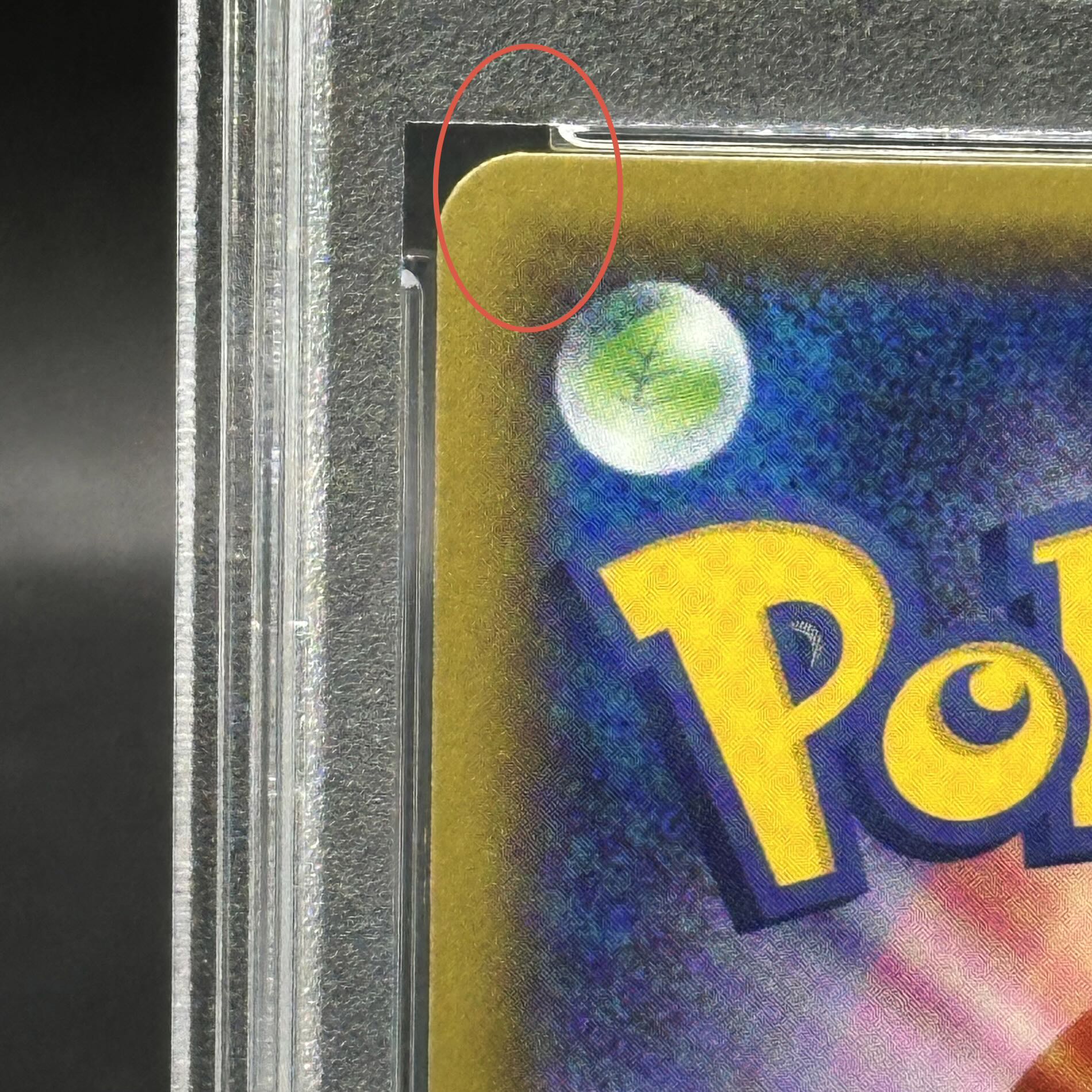 PSA10] Pikachu PROMO 208/XY-P in poncho