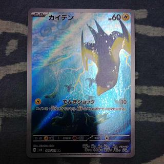 カイデン AR 105/101 1枚