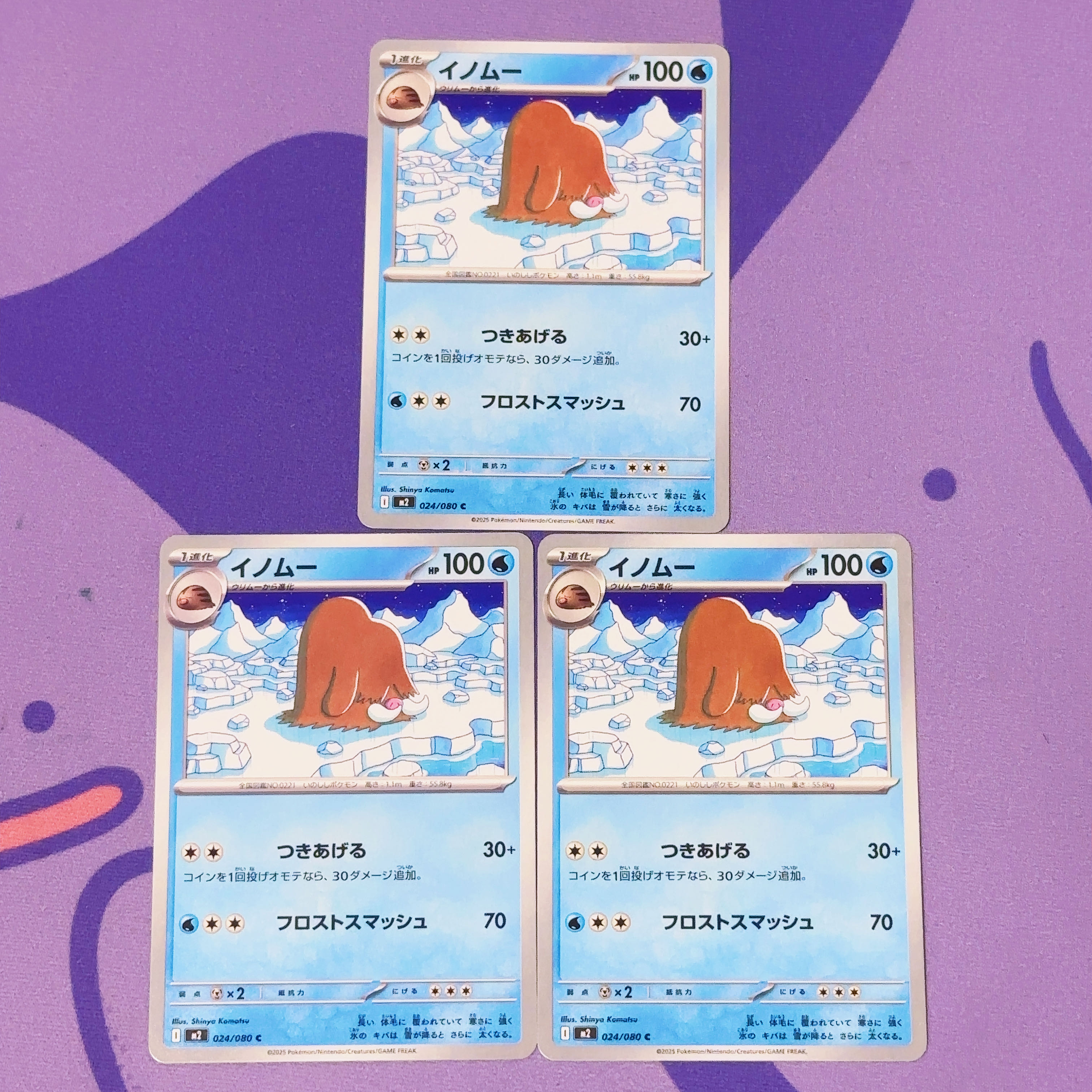 イノムー C 024/080