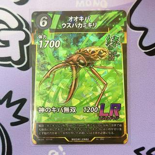 黄金虫 Dorcus monpa モンパオオクワガタ ♂27♀23mmペア №17・12