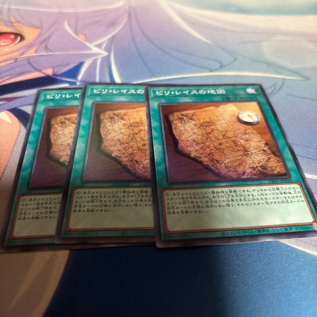 Piri Reis Map normal DBJH-JP030