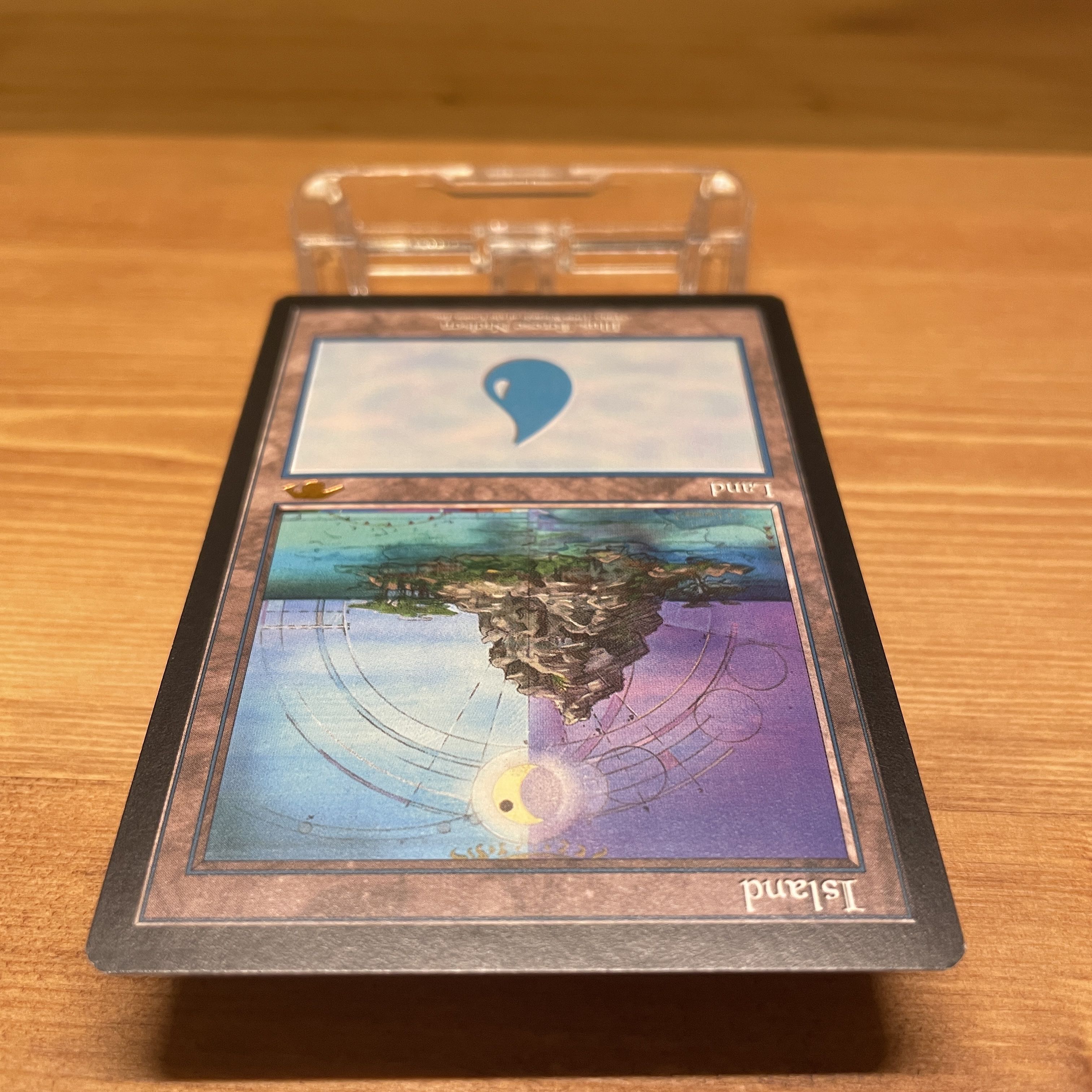 Guru land 島/Island NM グルランド MTG