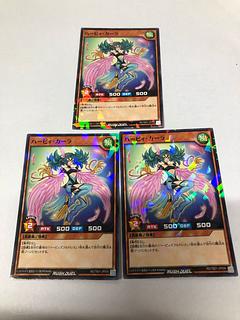 Her Cleffa Kara P-N RD/TB01-JP009