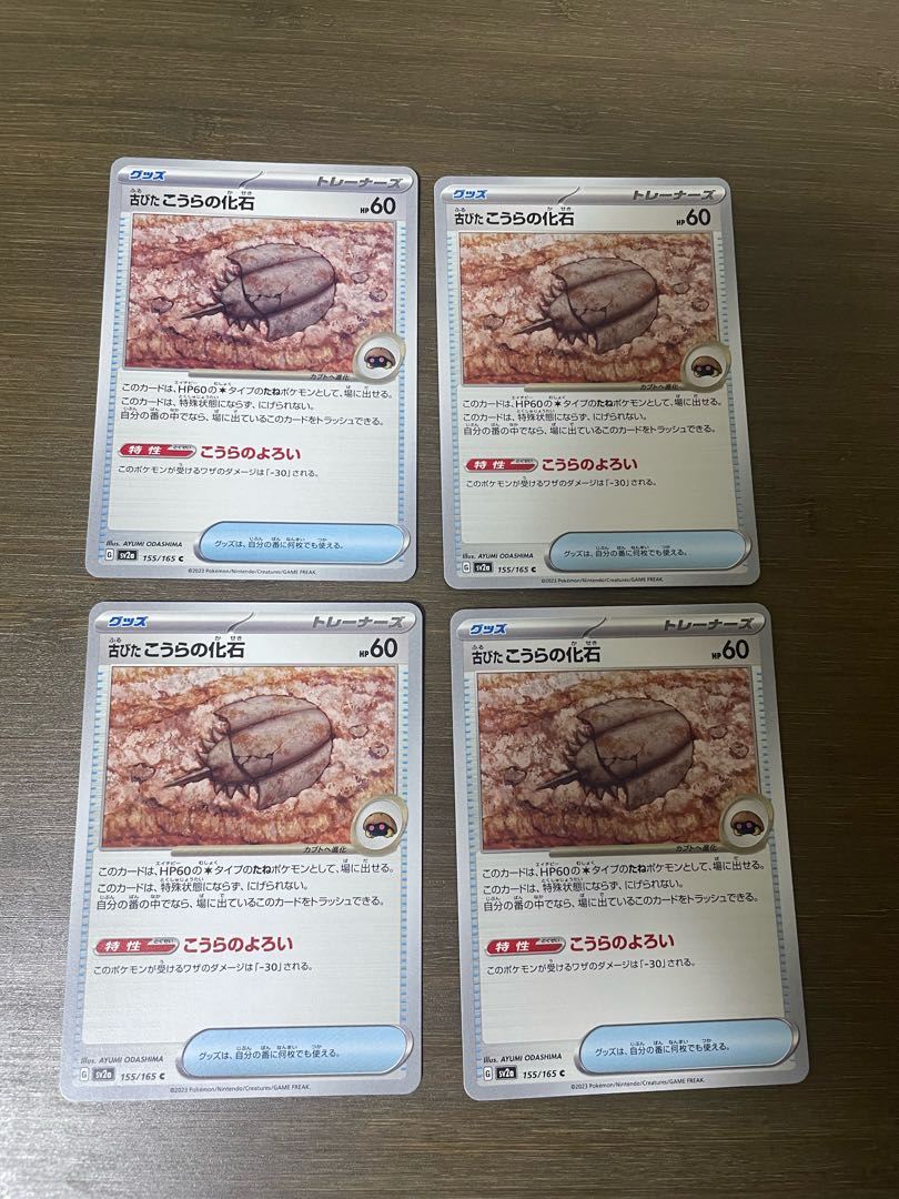 古びたこうらの化石 C 155/165 1枚