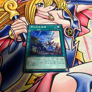 The Weather Rainy Canvas Normal JP037