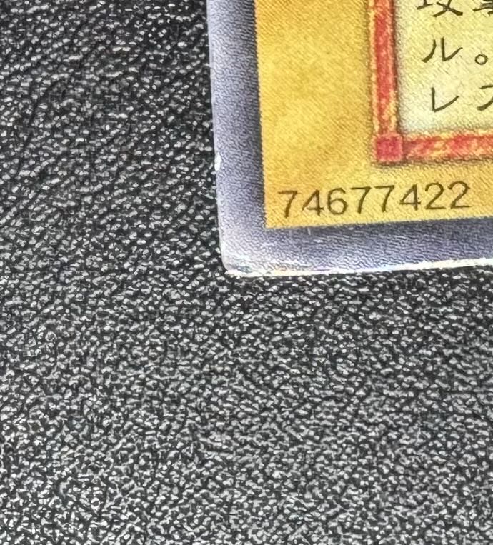 レッドアイズブラックドラゴン/ドラゴン族/ 遊戯王/初期ウルトラレア  1枚