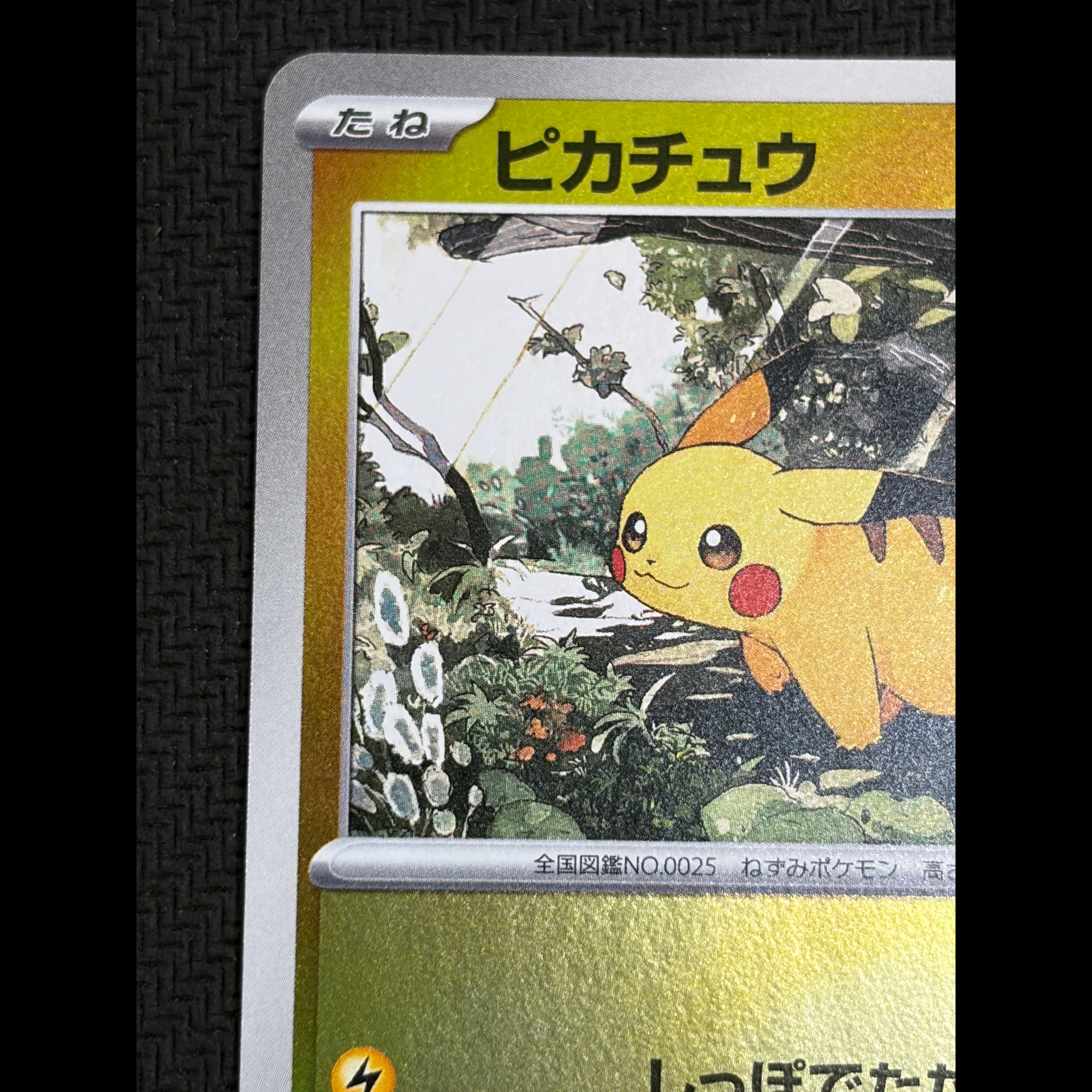 ② Condition B Pikachu (Mirror Finish) S-TD 225/742 1枚