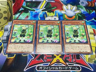 Y-2216 Aromage - Laurier Normal JP017