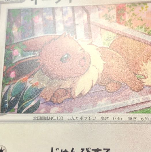 Eevee Promo V-Start Deck Set 075/S-P 181/S-P 100/S-P