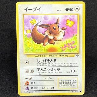 EeveeLV12 Old Back Eevee