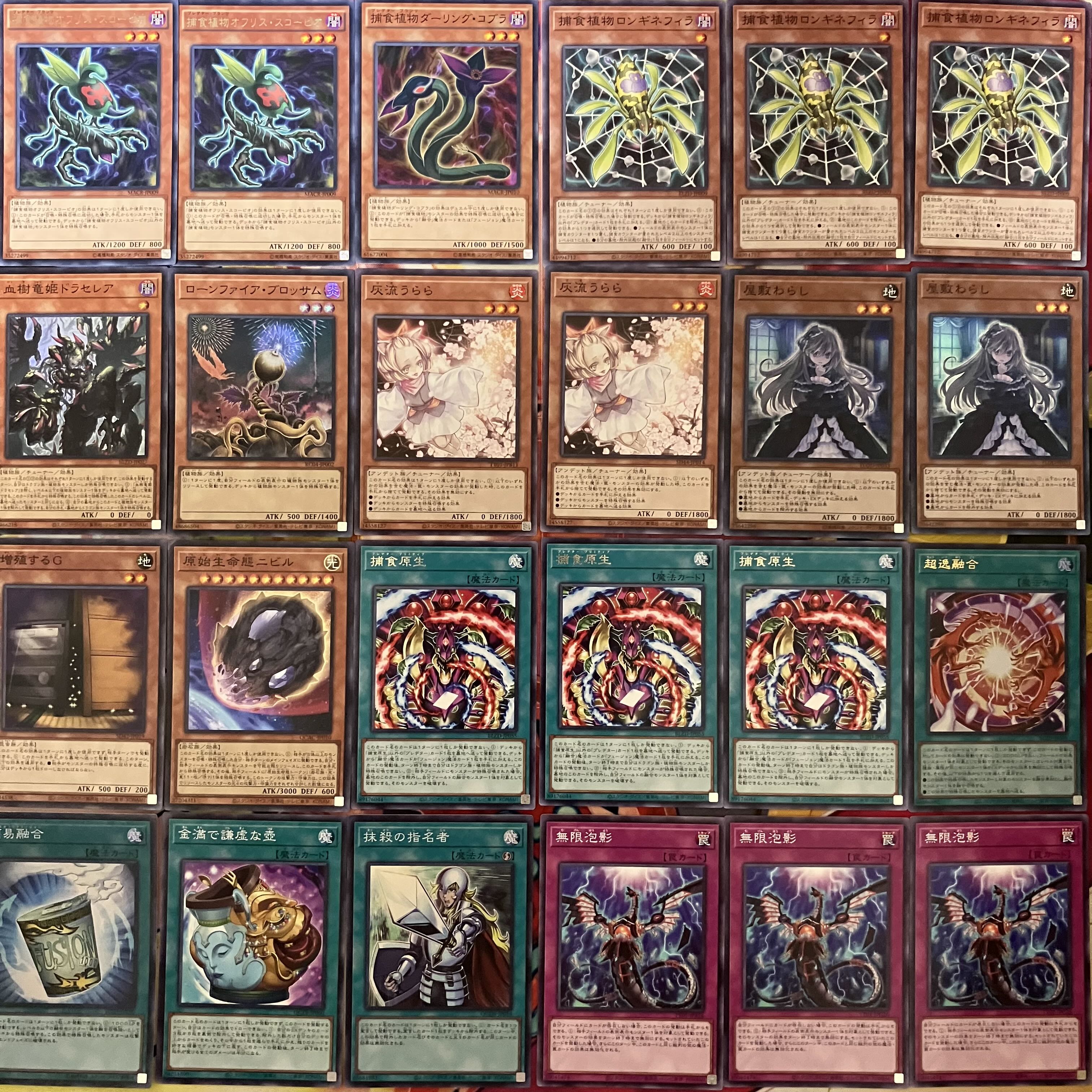 No.1442 捕食植物デッキ プレデタープランツデッキ 遊戯王 Predaplant deck 1枚