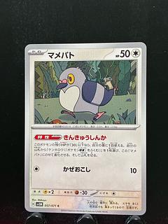 Rakurakudo] Pocketka Pidove