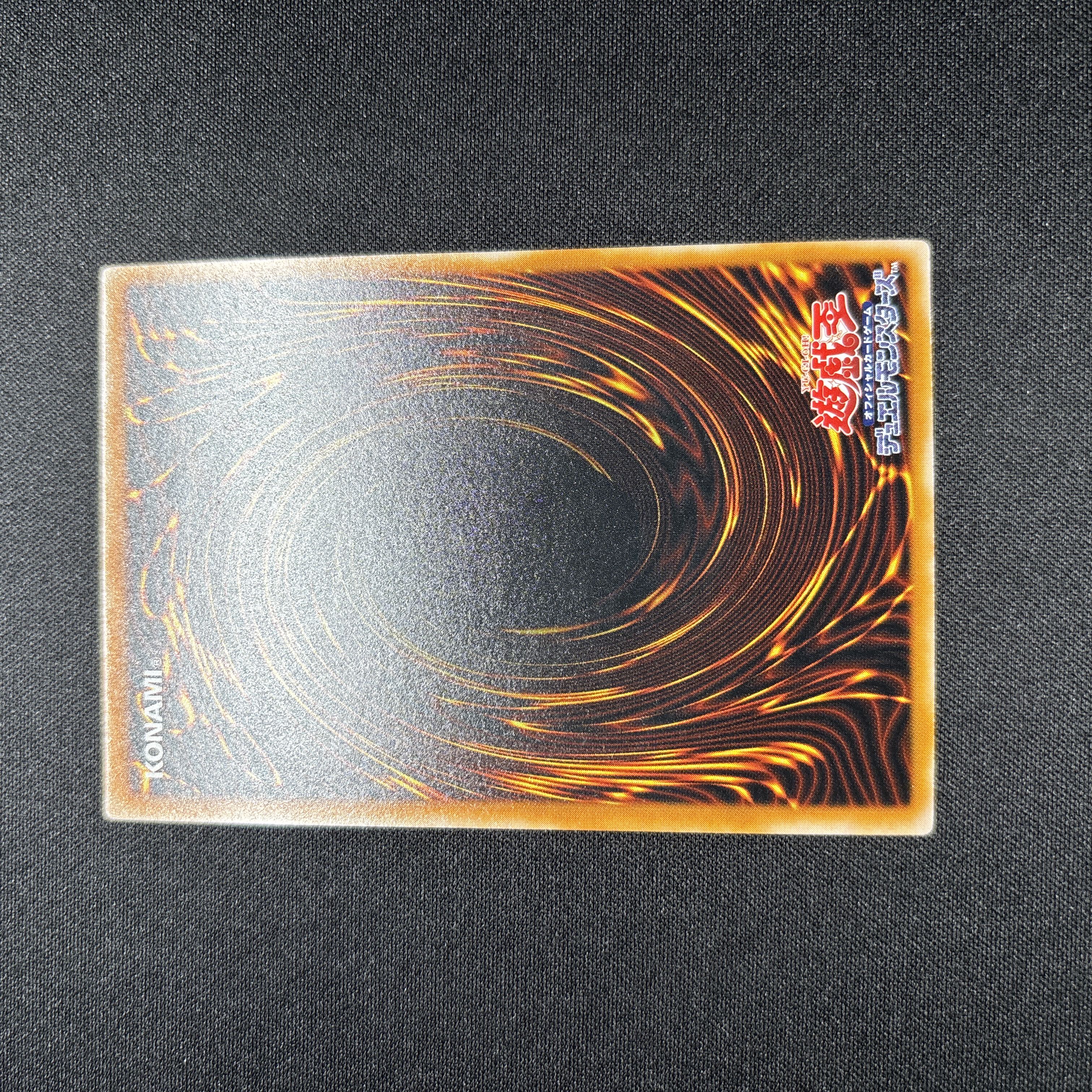 【極美品】遊戯王　ダーク・ネクロフィア　レリーフ 1枚