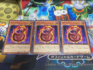 Y-4676 怒気土器 ノーマル JP037 3枚