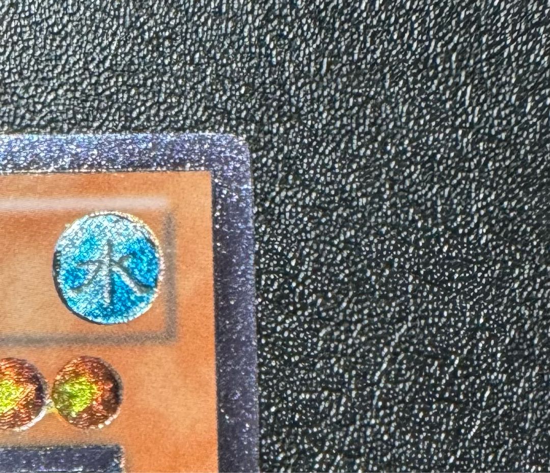 【英語版】 カンツウツボ/レリーフ/遊戯王/英語