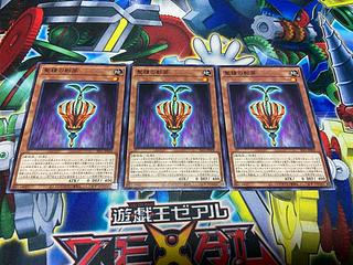 Y-1021 聖種の影芽 ノーマル JP029