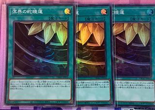 即日発送！溟界　デッキ　遊戯王　ヌル　ナイア　蛇睡蓮 楽天市場】遊戯王 溟界の蛇睡蓮の通販